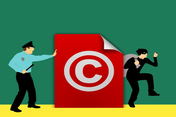 知识产权的维护 The Protection of Intellectual Property 